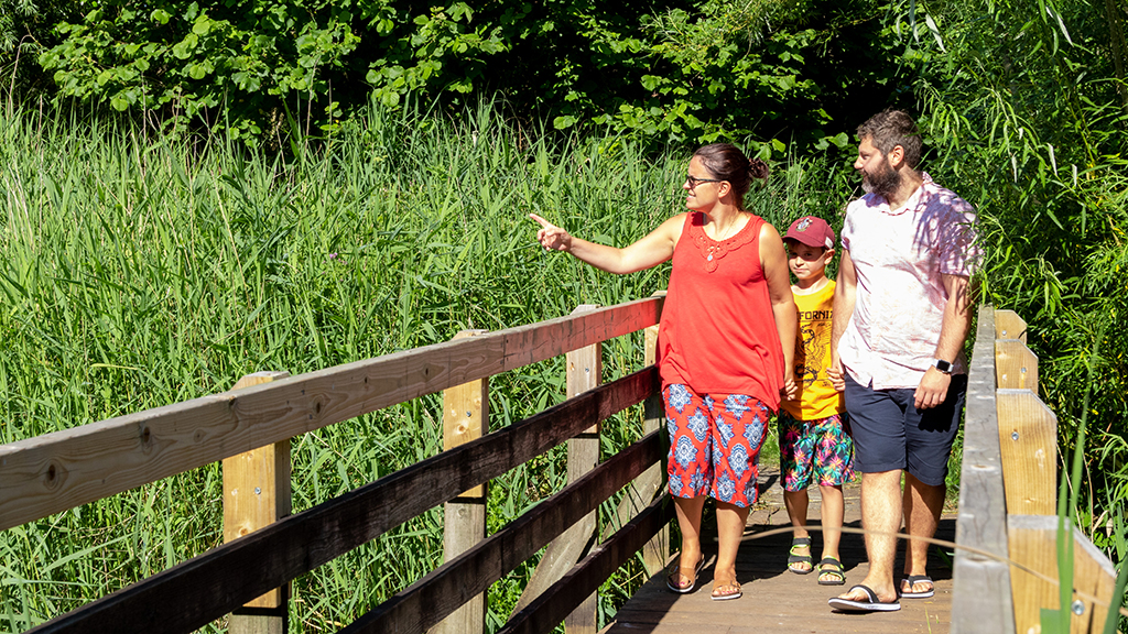 Family Dragonfly Walk Aug 6