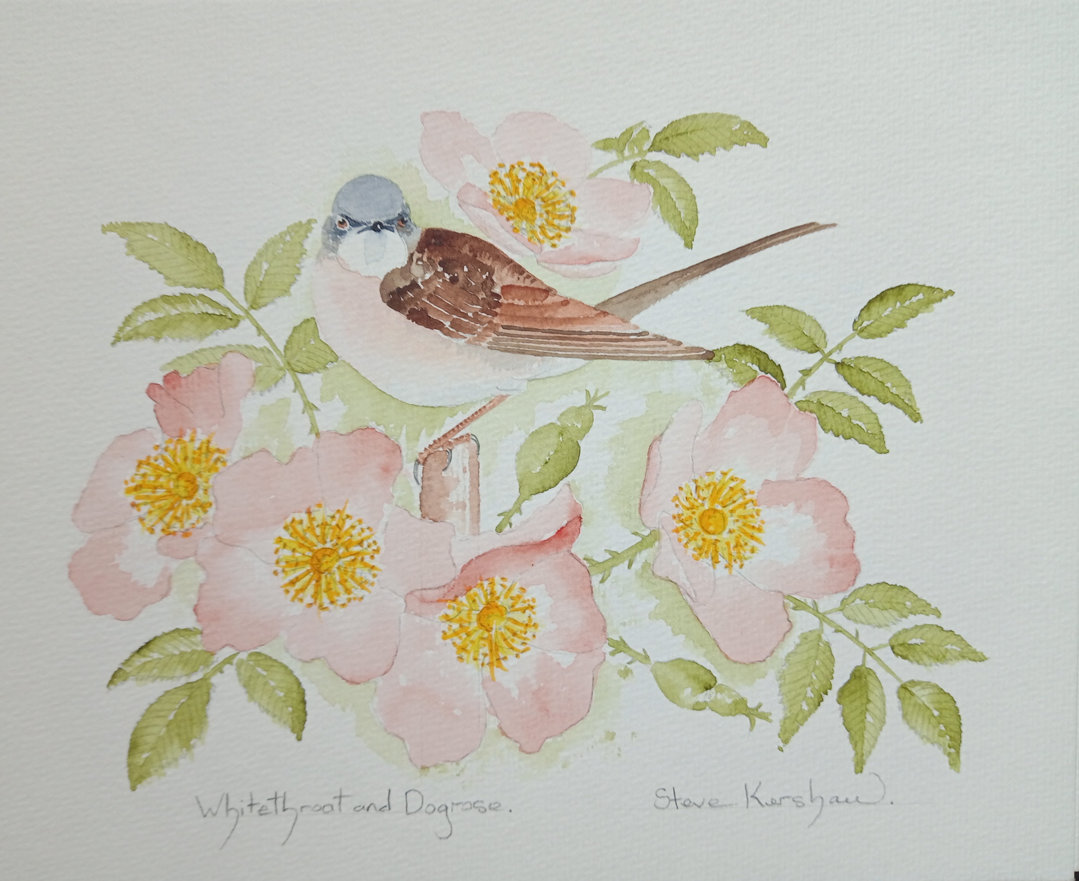 Meet the Artist -Steve Kershaw