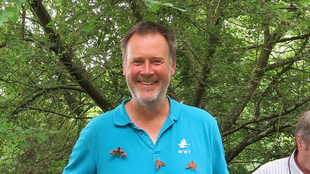 A smiling man standing near a tree with three real moths on his shirt