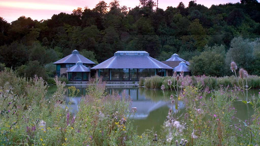 WWT Arundel early closure due to extreme heat