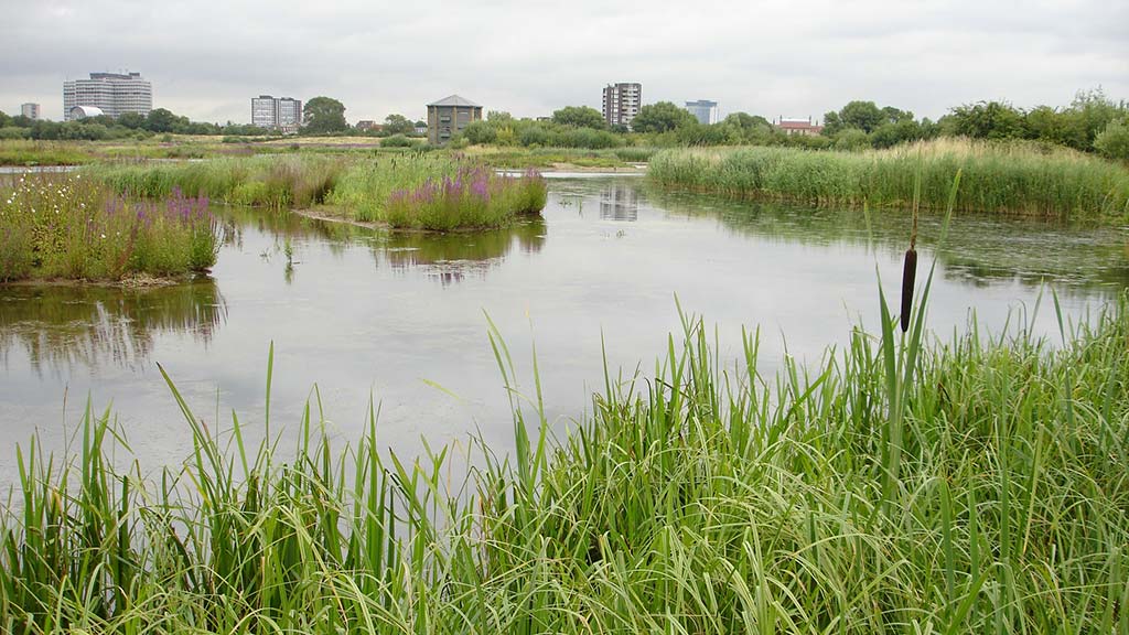 WWT London early closure due to extreme heat