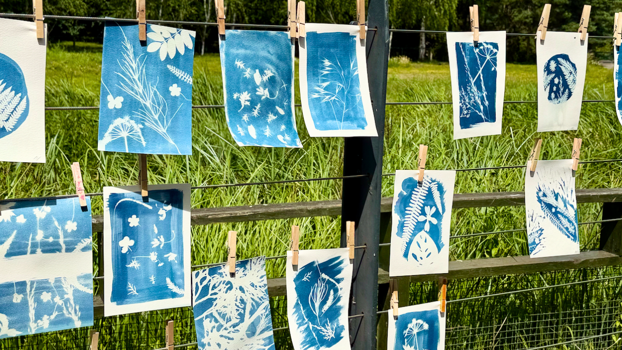 Family Cyanotype Printmaking Workshop