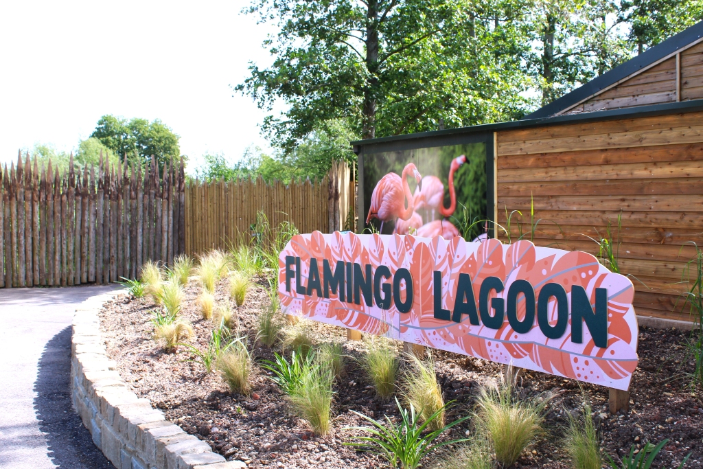 Flamingo Lagoon has had a facelift!