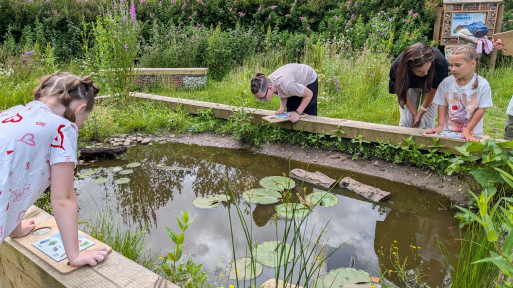 An adult and 3 children looking into a man-made pond for bugs