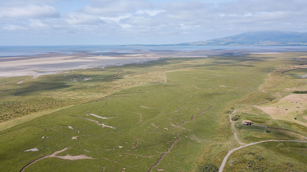 Eastpark Merse saltmarsh at WWT Caerlaverock, with the Salcot Merse observatory.