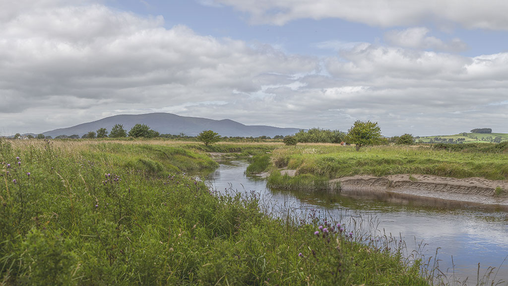 Lochar Water at WWT Caerlaverock