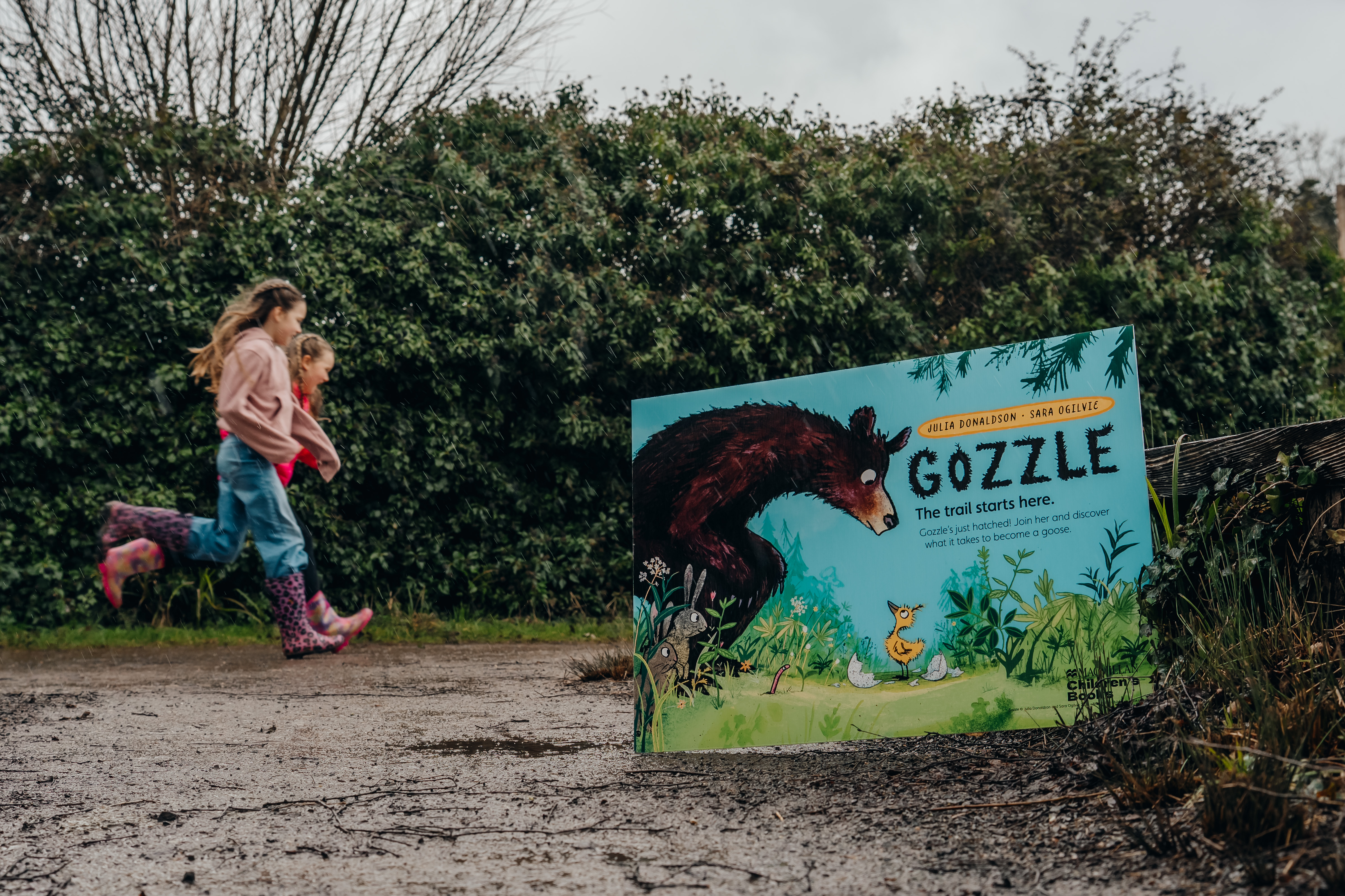 Gozzle hatches this spring at WWT London