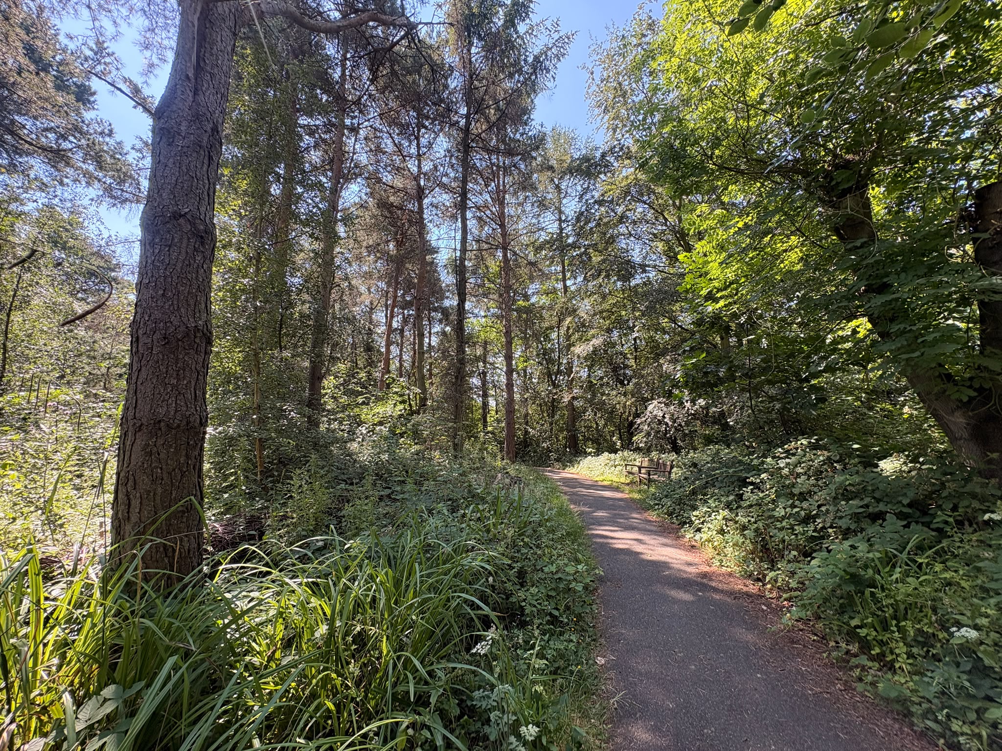 Discover Cool, Calm Corners at WWT Washington This Summer