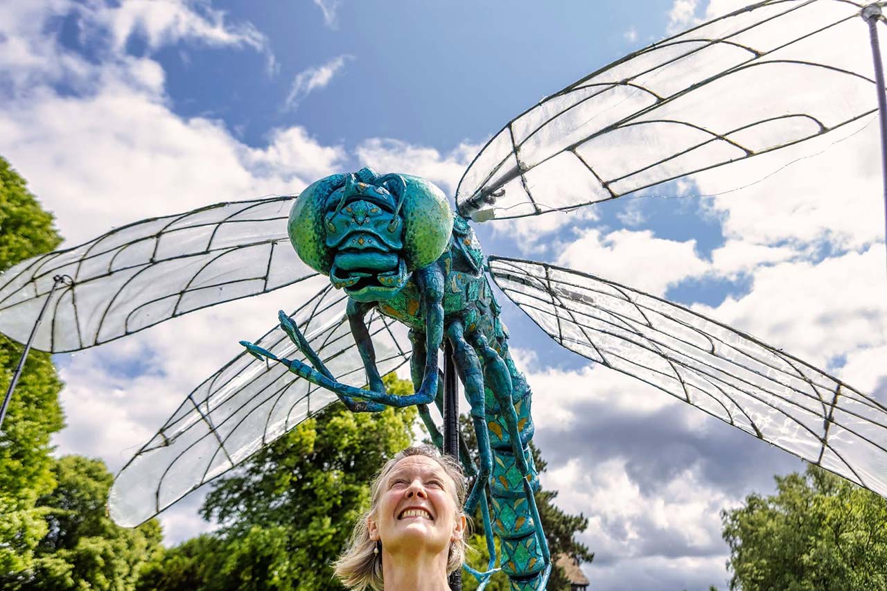 A colourful mosaic featuring images of damselflies, dragonflies, children and the text: Fill your summer with flying colours...