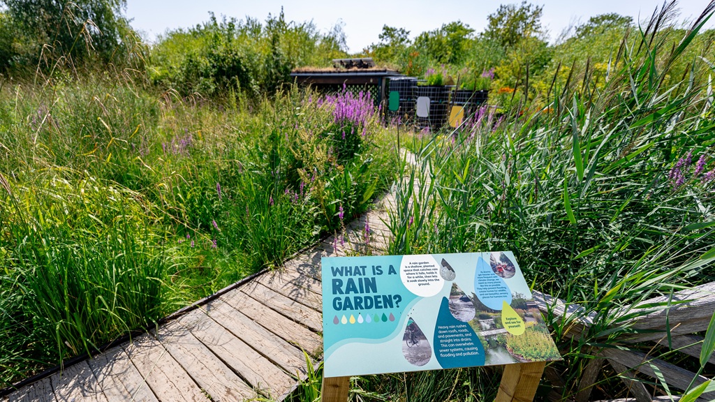 Coming soon! Explore our Rain Garden