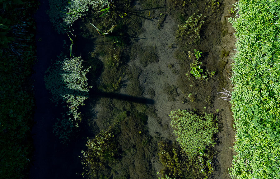 An aerial view of a ditch with vibrant green plants and crystal clean water