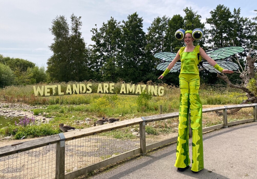 Dragonfly Stilt Walkers