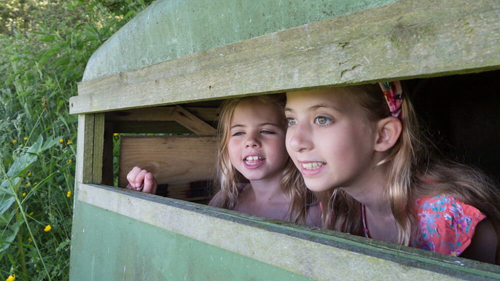 Migrate Adventure Learning Session ages 8-11