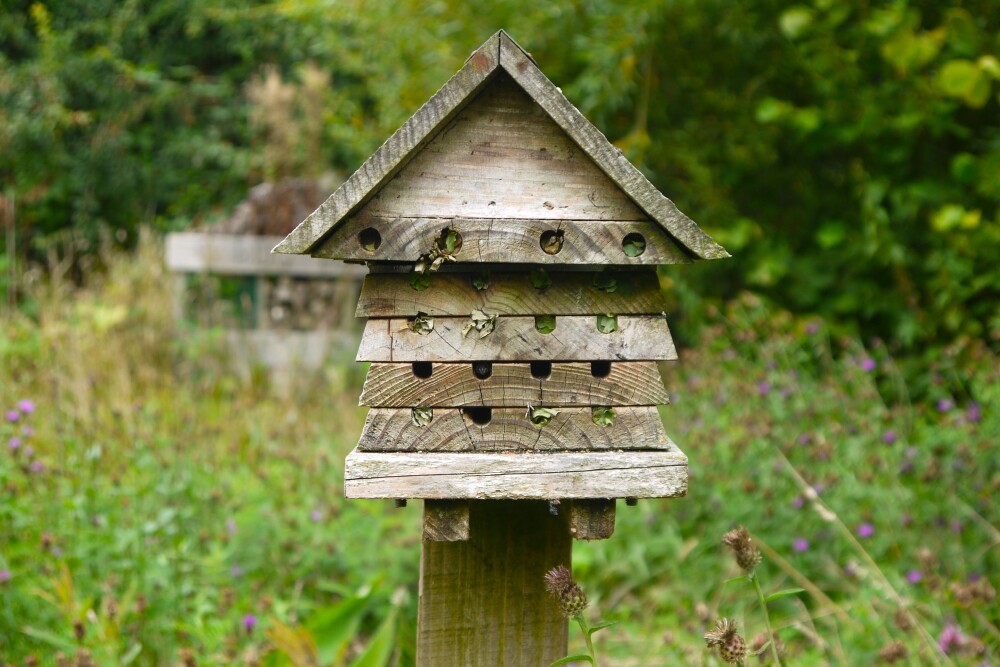 A full photo of the bee hotel, with many of the holes filled with pieces of leaves.