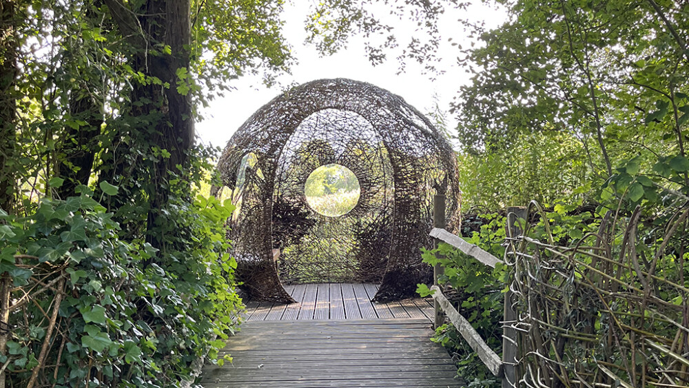Reedbed Willow Sphere reopens after reweaving work