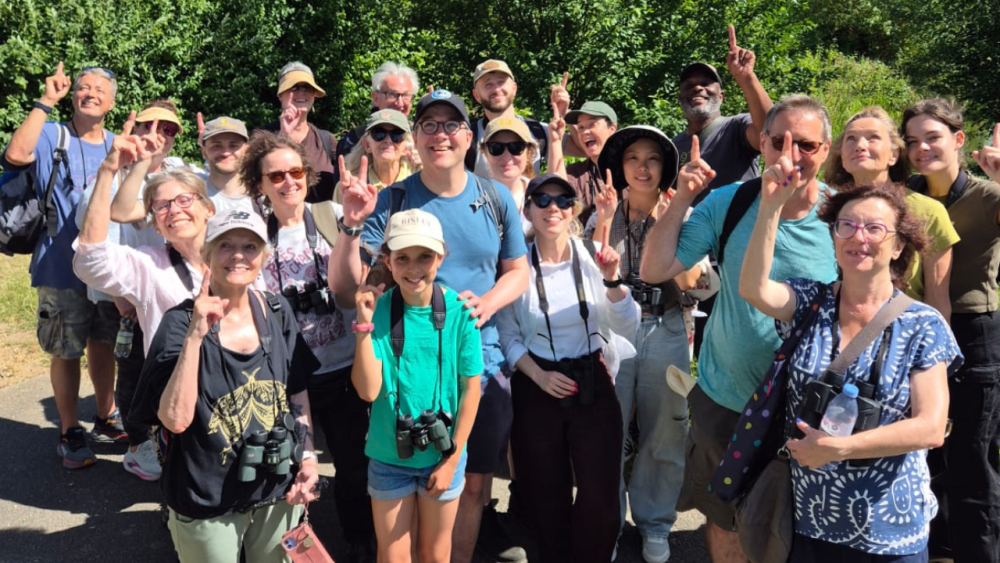 The Urban Birder Course - July