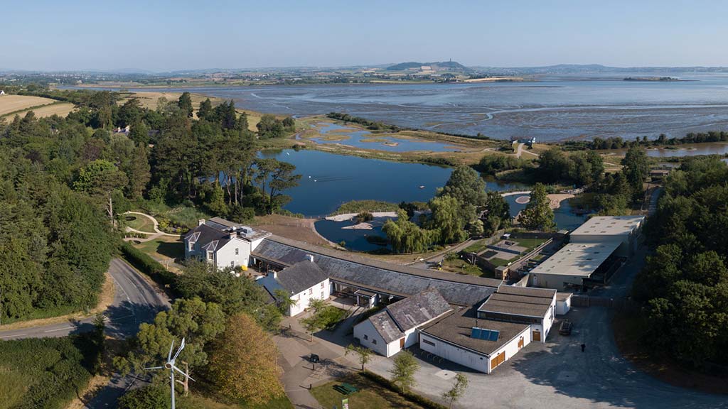 An aerial view of WWT Castle Espie Wetland Centre, with Strangford Lough and Scrabo Tower in the distance