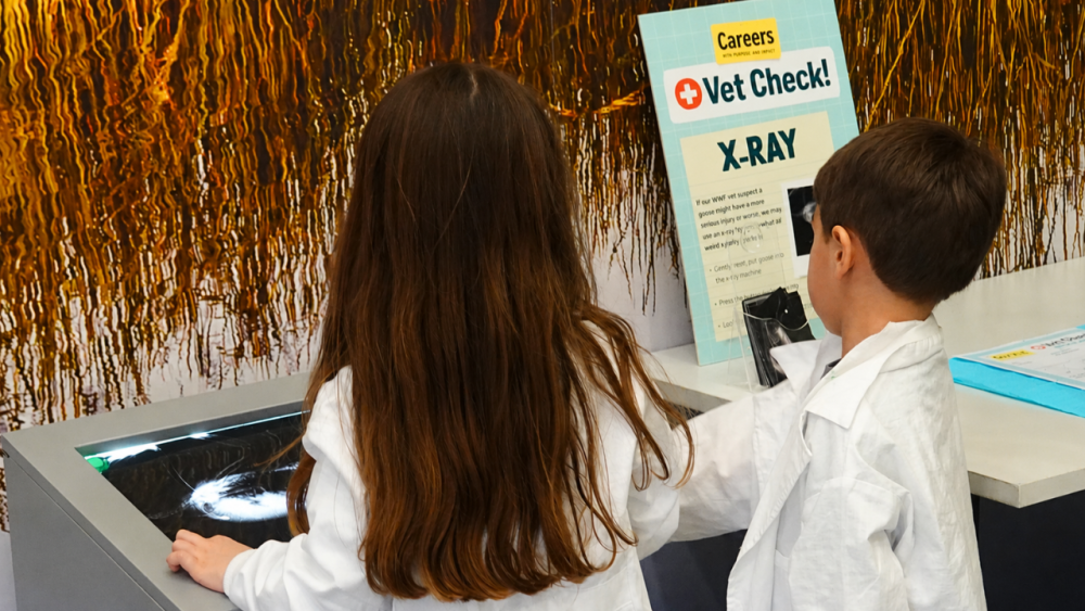 Home Educators Day: Green Careers
