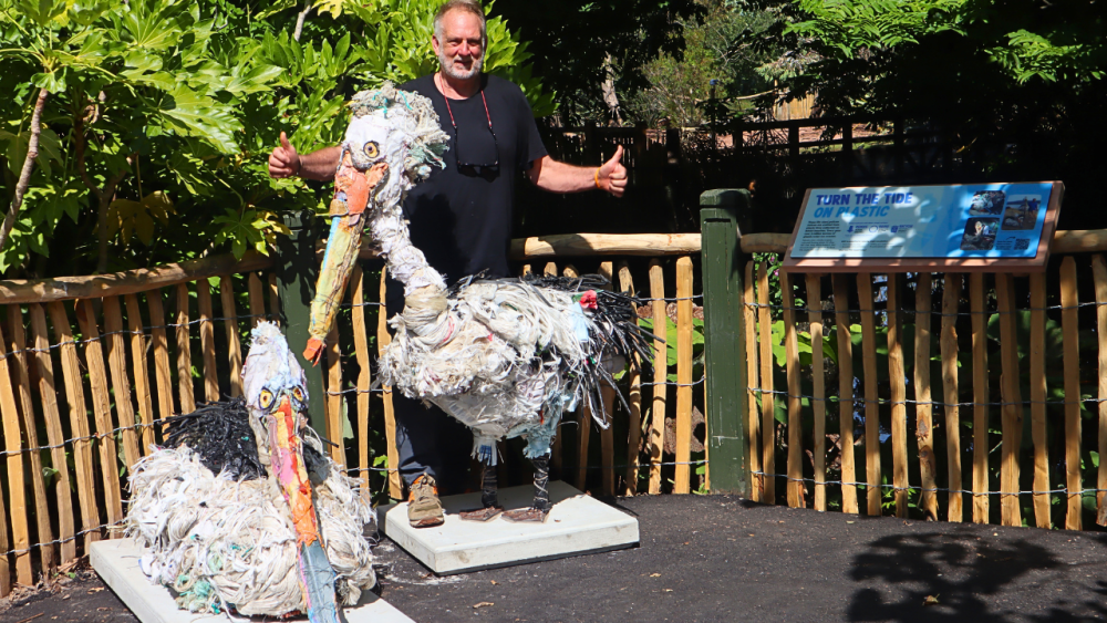 New plastic pelican sculptures highlight the impact of plastic pollution