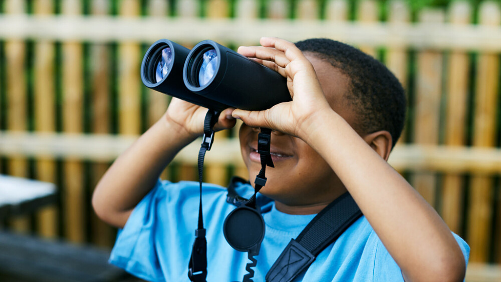 Brilliant Birds Learning Session ages 4-7