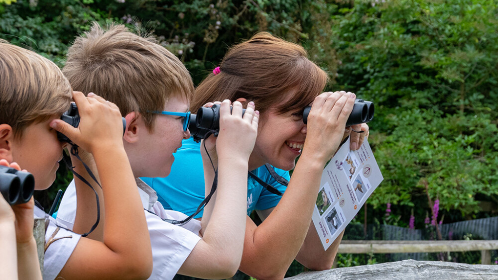 Brilliant Birds Learning Session ages 8-11