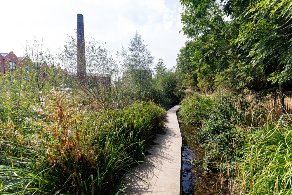 Now is the time for the UK’s first Wetland City. Here's why