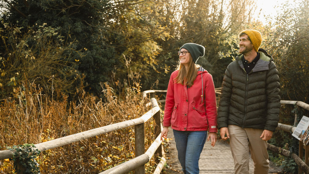 Autumn and winter wetland escapes