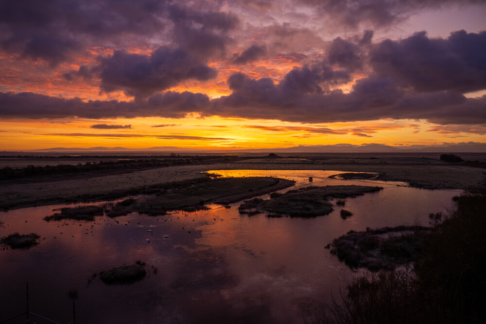 WWT Caerlaverock to open Tuesday to Saturday
