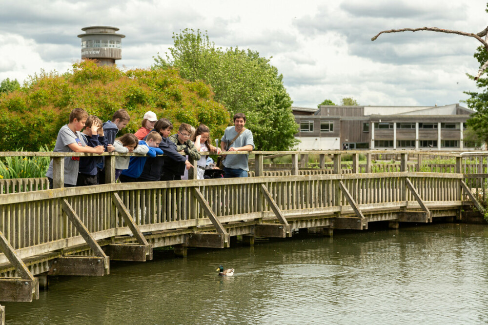 Free Teacher Discovery Day
