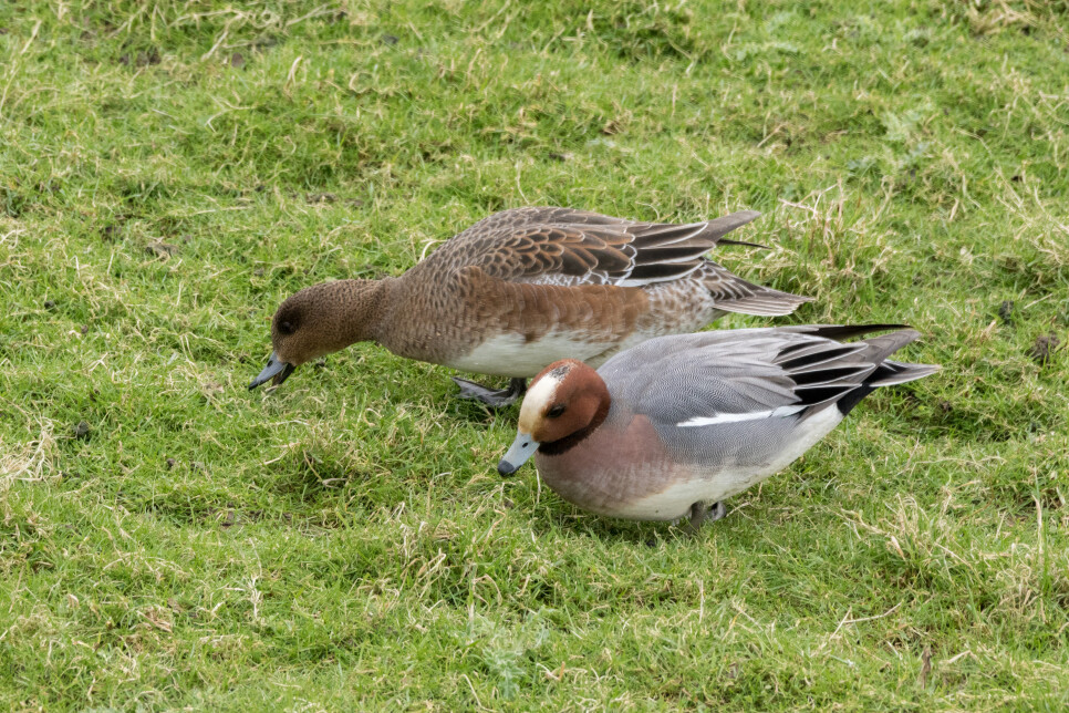 Latest Sightings