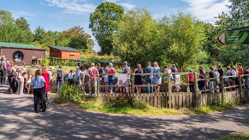 Visitors at the Asian short-clawed otter enclosure at WWT Washington, watching an otter talk