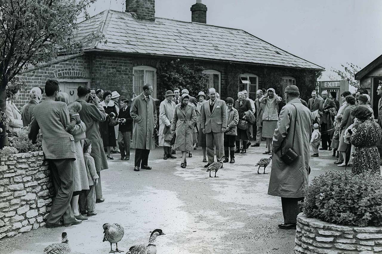 A black and white image of Sir Peter Scott and Queen Elizabeth II, with a crowd of people at WWT Slimbridge. Hawaiian geese are walking amongst the crowd.