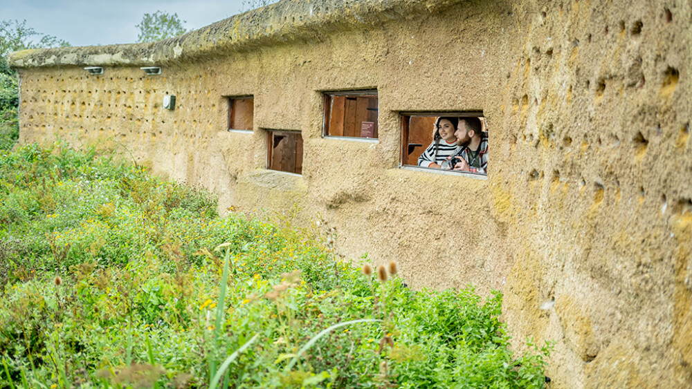 50 Years of Wildlife Watching at WWT Arundel