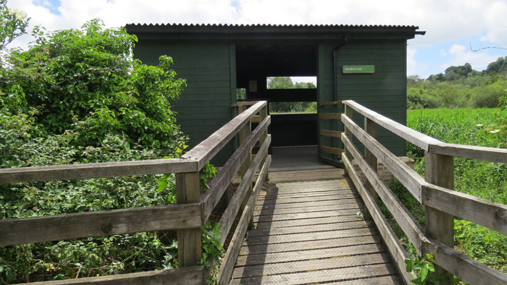 A wildlife hide against blue sky and reedbeds