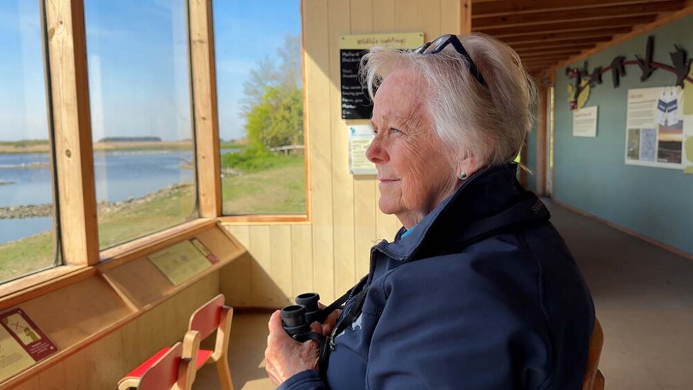 A WWT Martin Mere volunteer holds binoculars while looking out onto the reserve from a hide