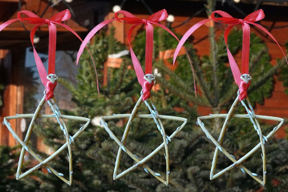 Wetland Wellbeing Workshop – Festive Willow Decorations