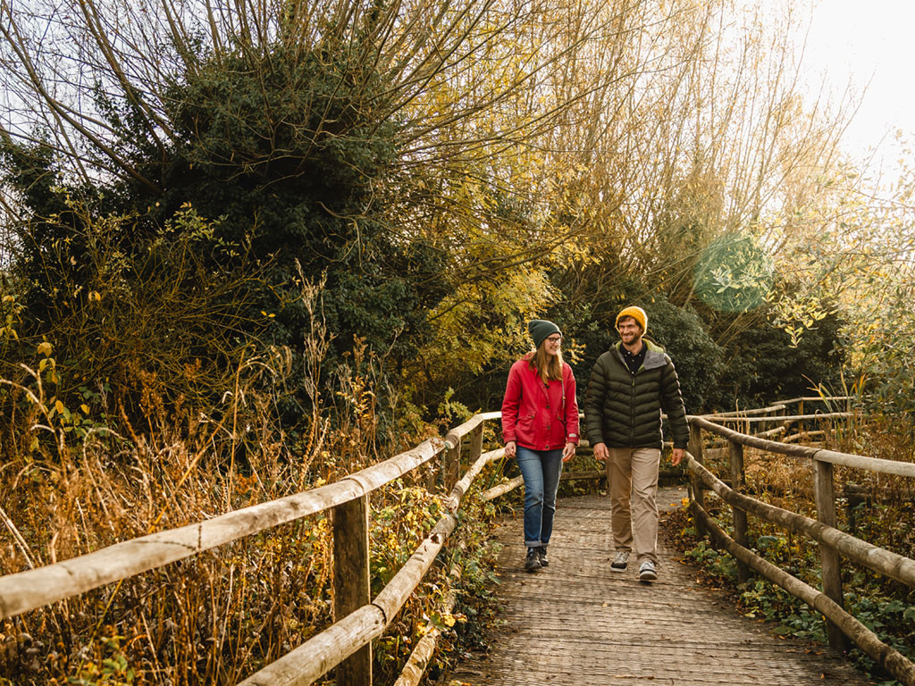 Two people wrapped up in coats and hats walk down a boardwalk surrounded with yellow autumnal willows.