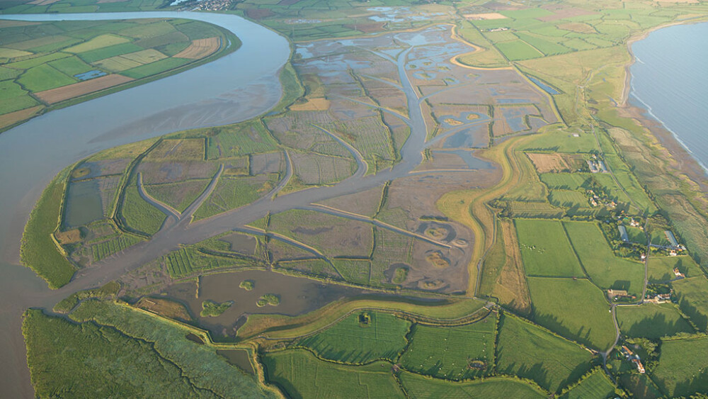 Return to Steart Marshes