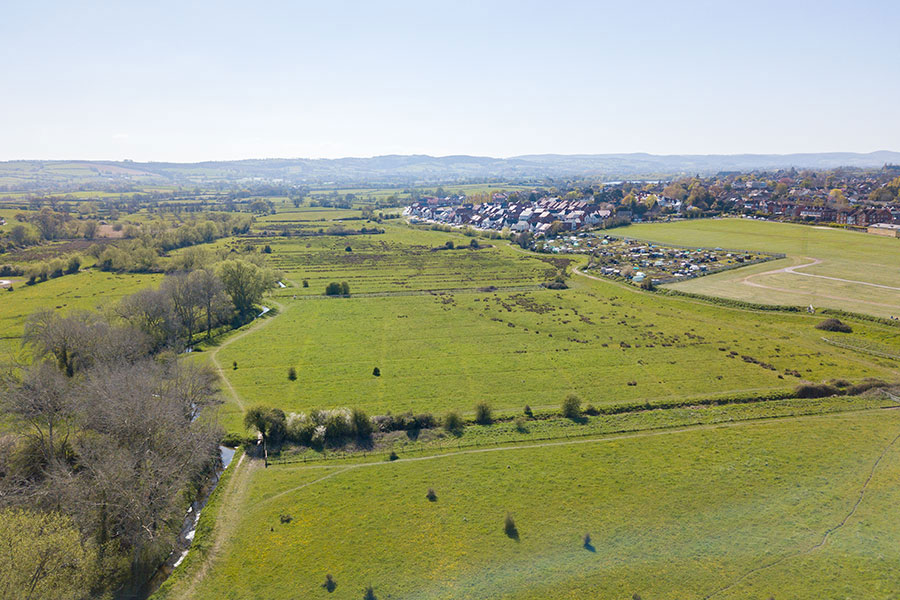 Restoring Somerset's wetlands