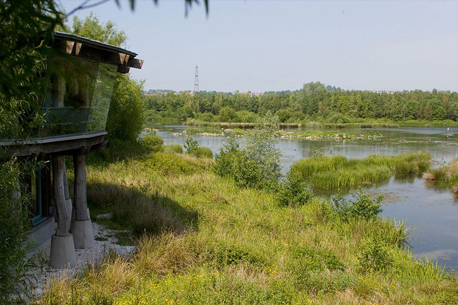 Wetlands vs climate change