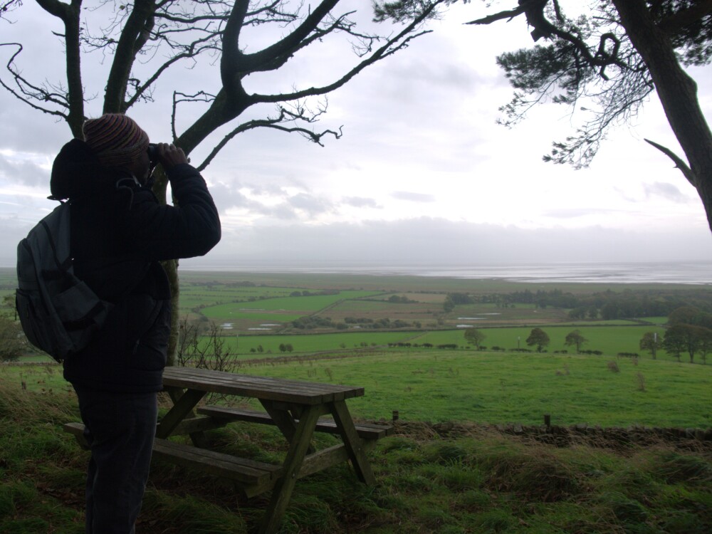 Wardlaw Walk: Exploring Caerlaverock’s Landscape, History, and Geese
